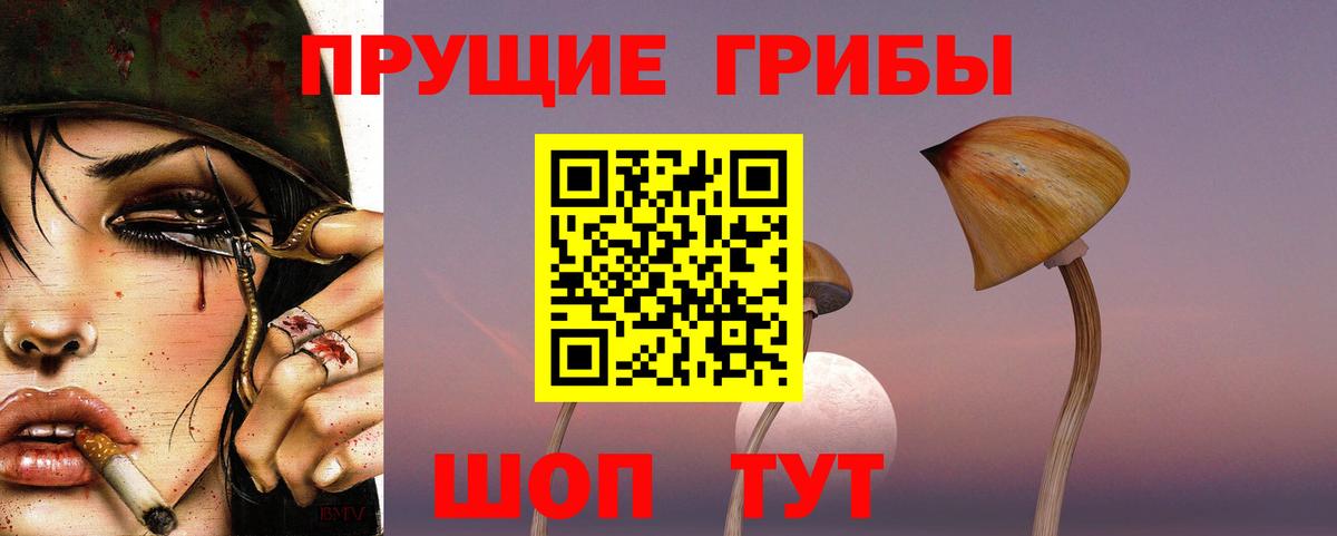 Гусев  Галлюциногенные грибы GOLDEN TEACHER  Вход с VPN  Псилоцибиновые грибы GOLDEN TEACHER 